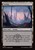 Swamp (foil)