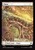 Plains (foil)