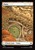 Plains (foil)