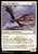 Sage-Eye Harrier