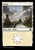 Plains (foil)