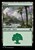 Forest (foil)