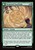 Elemental Teachings