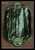 Forest (foil)